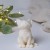 x3_1.jpg
